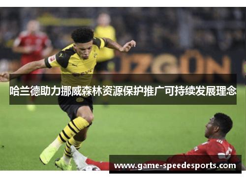 哈兰德助力挪威森林资源保护推广可持续发展理念