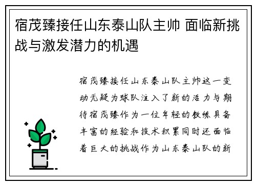 宿茂臻接任山东泰山队主帅 面临新挑战与激发潜力的机遇