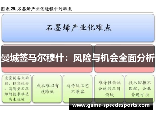 曼城签马尔穆什：风险与机会全面分析