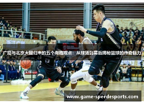 广厦与北京大腿归来的五个有趣观点：从球场到幕后揭秘篮球的传奇魅力