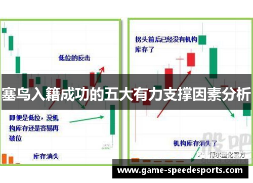 塞鸟入籍成功的五大有力支撑因素分析