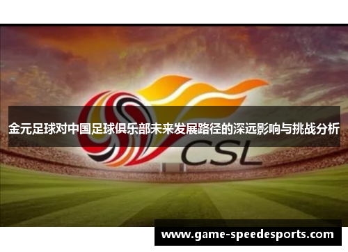 金元足球对中国足球俱乐部未来发展路径的深远影响与挑战分析